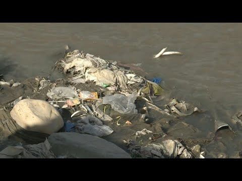 علاقة حب قاتلة بين الباكستانيين وأكياس البلاستيك