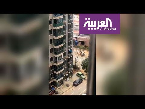 مسنة تهرب بعد منعها من الخروج خوفًا من كورونا