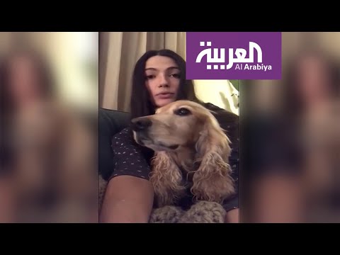 نجوم مصر يطلقون حملة دفاعا عن الحيوانات الأليفة ضد كورونا