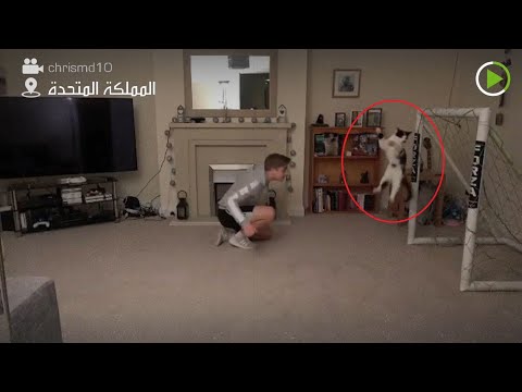 لقطات مُثيرة لـقطة تتقمص دور حارس مرمى