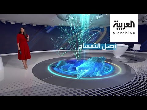 شاهد جمجمة لتمساح عمرها 7 ملايين سنة تعيد أصله  من أميركا إلى ليبيا