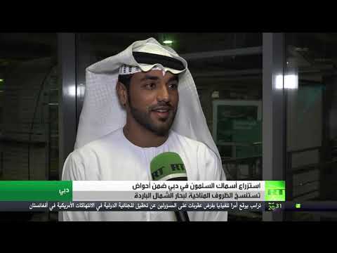 استمرار مشروع  استزراع  السلمون في الإمارات رغم كورونا
